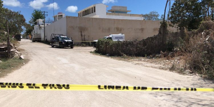 DESCUBREN PERROS RESTOS HUMANOS EN CANCÚN