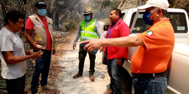 DISPONE GOBIERNO ESTATAL BRIGADAS FORESTALES PARA CONFLAGRACIÓN EN ICHKABAL