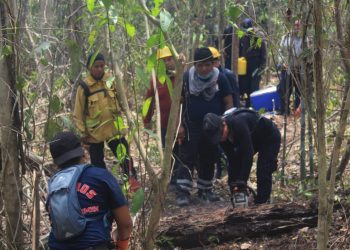INTERVENCIÓN OPORTUNA CONTIENE INCENDIO AL PONIENTE DE PLAYA DEL CARMEN