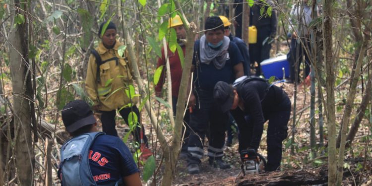 INTERVENCIÓN OPORTUNA CONTIENE INCENDIO AL PONIENTE DE PLAYA DEL CARMEN