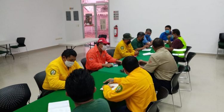 SE REGISTRAN 41 INCENDIOS FORESTALES EN QUINTANA ROO