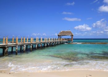 CELEBRA HOY LA TIERRA SU DÍA MUNDIAL