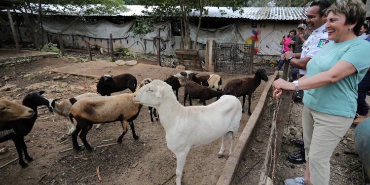 CONSUME LOCAL PARA APOYAR A LAS EMPRESAS SOLIDARENSES: LAURA BERISTAIN