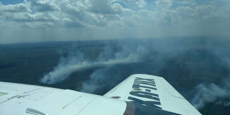 FIRMAN CONVENIO EN MATERIA FORESTAL PARA MANEJO DEL FUEGO