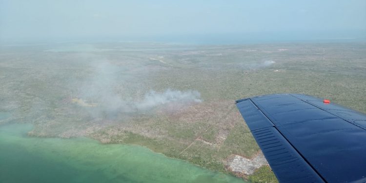 CAZA FURTIVA PROVOCA INCENDIOS FORESTALES