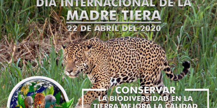 ABRIL 22 DÍA INTERNACIONAL DE LA MADRE TIERRA