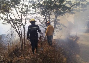 INCENDIOS FORESTALES AFECTAN MIL HECTÁREAS