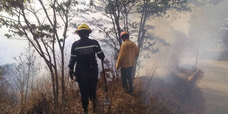 INCENDIOS FORESTALES AFECTAN MIL HECTÁREAS