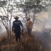 INCENDIOS FORESTALES AFECTAN MIL HECTÁREAS
