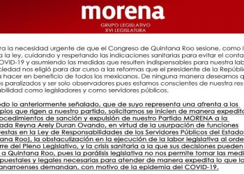 DIPUTADOS DE MORENA ACUSAN A REYNA DURÁN CON SU DIRIGENCIA NACIONAL