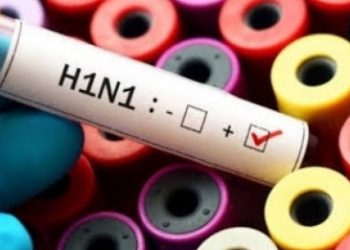 A 11 AÑOS DE LA EMERGENCIA SANITARIA POR INFLUENZA H1N1