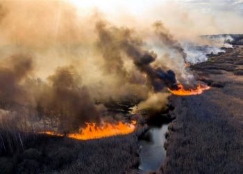 APAGAN INCENDIO EN ZONA DE CHERNÓBIL