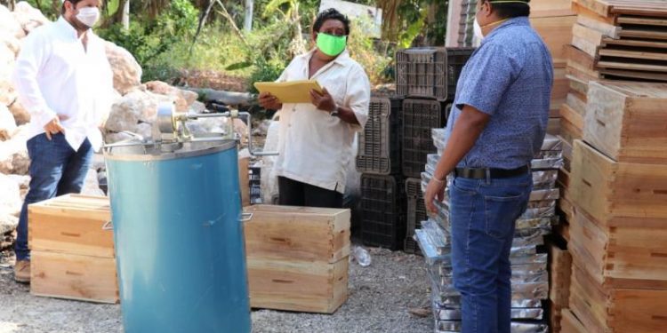 CONTINÚA IMPULSO AL SECTOR AGRÍCOLA DE LA ENTIDAD