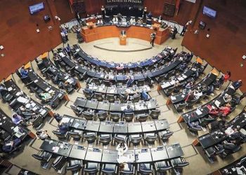 EL SENADO VA POR AVALAR LA LEY DE AMNISTÍA DE FORMA EXTRAORDINARIA