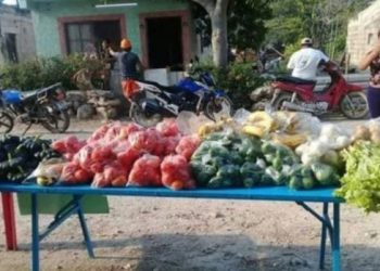 FAMILIA DE YUCATÁN DONA SU COSECHA A SUS VECINOS POR LA CONTINGENCIA DEL COVID-19