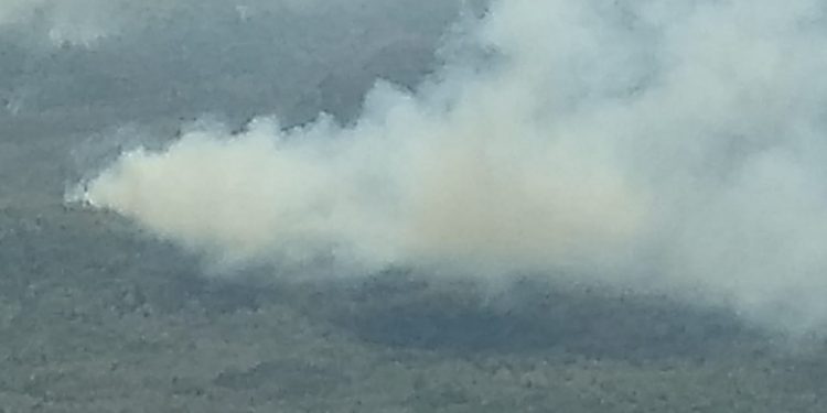 SANCIONARÁN A QUIEN SORPRENDAN HACIENDO QUEMAS FORESTALES