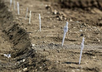 MILÁN ENTIERRA DECENAS DE CUERPOS NO RECLAMADOS DE VÍCTIMAS DE COVID-19