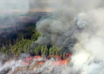 REPORTAN NUEVOS INCENDIOS EN LA ZONA CERCANA A CHERNÓBIL
