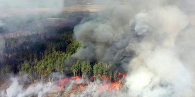 REPORTAN NUEVOS INCENDIOS EN LA ZONA CERCANA A CHERNÓBIL