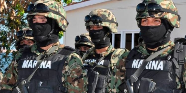 APOYA MARINA EN VIGILANCIA HOSPITALARIA