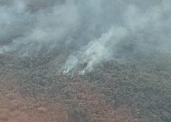QUINTANA ROO EXHORTA A EVITAR ENCENDER FUEGO PARA CACERÍA