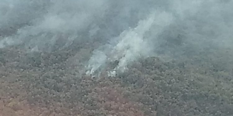 QUINTANA ROO EXHORTA A EVITAR ENCENDER FUEGO PARA CACERÍA