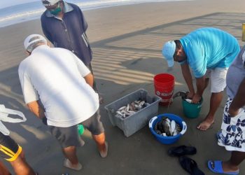 APOYA AMLO A PESCADORES CON MIL 391.7 MILLONES DE PESOS