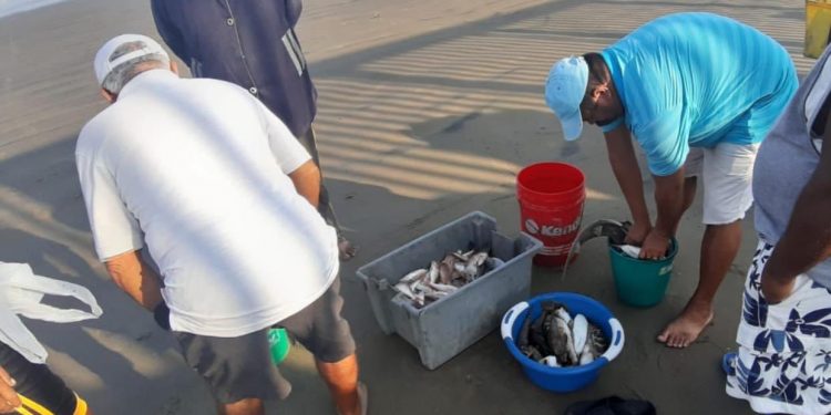 APOYA AMLO A PESCADORES CON MIL 391.7 MILLONES DE PESOS