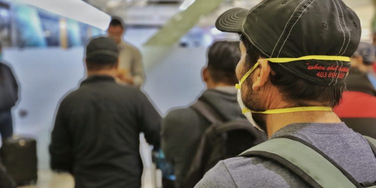 PROTEGE STPS EMPLEOS DE TRABAJADORES AGRÍCOLAS EN CANADÁ ANTE EL COVID-19