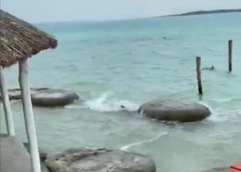 VISITA NUTRIA LAGUNA DE BACALAR