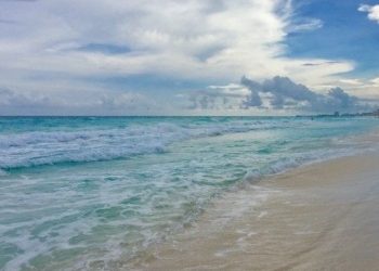 LA NATURALEZA SIGUE DEMOSTRANDO QUE LAS PLAYAS ESTÁN MEJOR SIN HUMANOS.