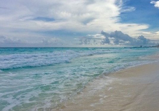 LA NATURALEZA SIGUE DEMOSTRANDO QUE LAS PLAYAS ESTÁN MEJOR SIN HUMANOS.