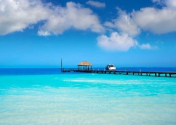 LAS PLAYAS AMANECIERON LIMPIAS DE SARGAZO, LA NATURALEZA APROVECHA QUE NO HAY VISITANTES Y LIMPIA SUS PLAYAS