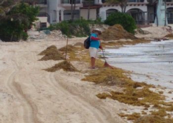LLEGA SARGAZO A PLAYA DEL CARMEN
