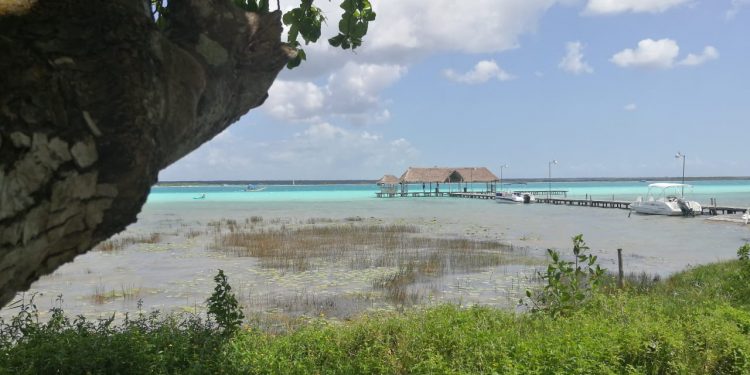 TENDRÁN QUE CUMPLIR  PRESTADORES DE SERVICIOS 266 CRITERIOS SANITARIOS PARA UN REGRESO A LA “NUEVA NORMALIDAD”