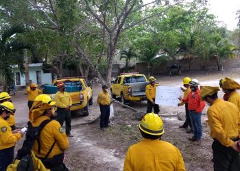 OCHO INCENDIOS SE MANTIENEN ACTIVOS