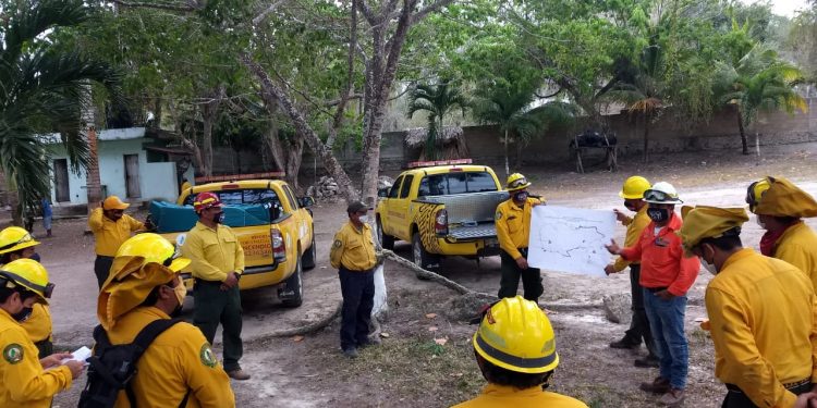 OCHO INCENDIOS SE MANTIENEN ACTIVOS