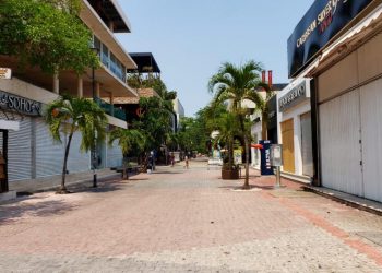 COMITÉS POLICIALES VECINALES REFUERZAN COMUNICACIÓN CON LA POLICÍA MUNICIPAL DURANTE COVID-19