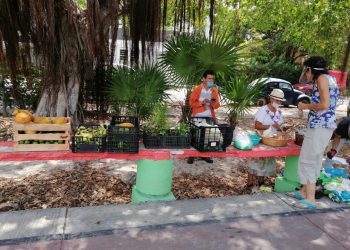 LA UNIVERSIDAD DEL CARIBE PROMUEVE EL CONSUMO LOCAL ANTE LA CRISIS POR COVID-19