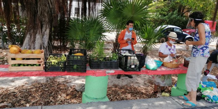 LA UNIVERSIDAD DEL CARIBE PROMUEVE EL CONSUMO LOCAL ANTE LA CRISIS POR COVID-19