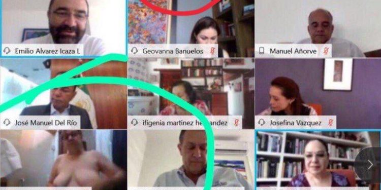 SENADORA DE MORENA VIVE PENOSO INCIDENTE EN VIDEOCONFERENCIA DE ZOOM