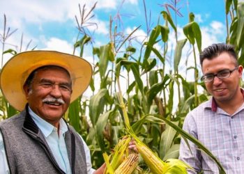 OTORGAN A MÉXICO RECONOCIMIENTO INTERNACIONAL POR SISTEMA SUSTENTABLE EN LA PRODUCCIÓN DE MAÍZ