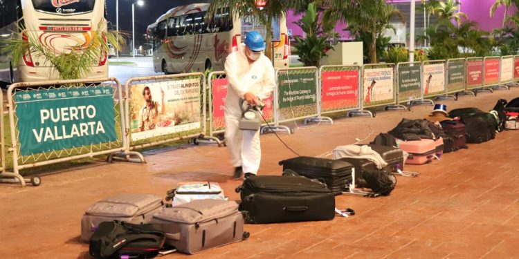 EL GOBIERNO DE MÉXICO REALIZA PUENTE HUMANITARIO PARA QUE 73 PERSONAS REGRESEN A SUS LUGARES DE RESIDENCIA