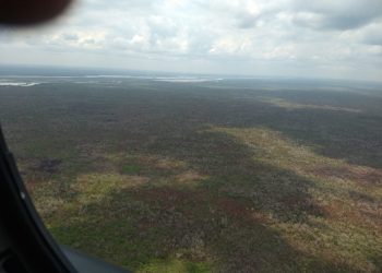SUPERA QUINTANA ROO EN 2020 NÚMERO DE HECTÁREAS AFECTADAS POR INCENDIOS, CON RELACIÓN A 2019