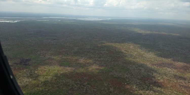 SUPERA QUINTANA ROO EN 2020 NÚMERO DE HECTÁREAS AFECTADAS POR INCENDIOS, CON RELACIÓN A 2019