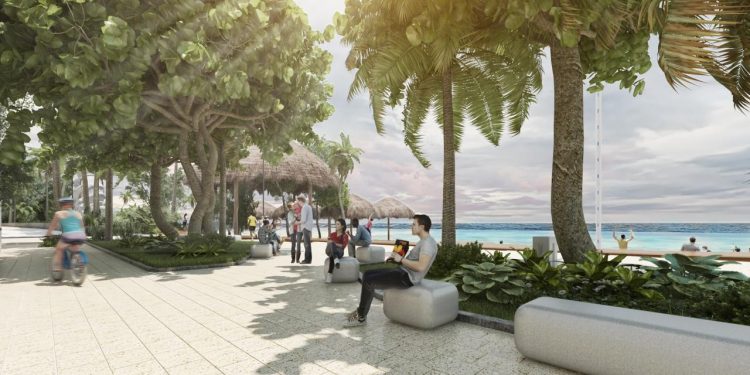 HABRÁ EL DOBLE DE ÁRBOLES NATIVOS CON MODERNIZACIÓN DE ZONA TURÍSTICA