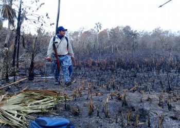SIN TREGUA ALGUNA SE CONTINÚA EL COMBATE A INCENDIOS FORESTALES EN LAZARO CARDENAS.