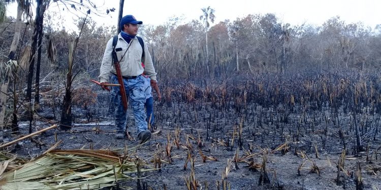 SIN TREGUA ALGUNA SE CONTINÚA EL COMBATE A INCENDIOS FORESTALES EN LAZARO CARDENAS.