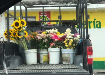 CON MEDIDAS DE SEGURIDAD, EN COZUMEL POR EL DÍA DE LA MADRE ABRIRÁN LAS PASTELERÍAS, FLORERÍAS Y TIENDAS DE REGALOS