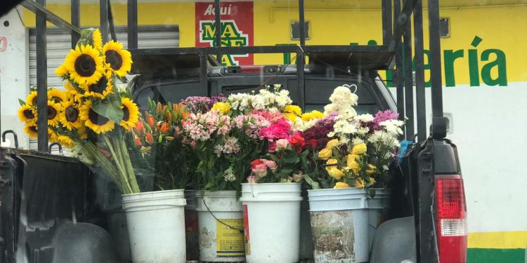CON MEDIDAS DE SEGURIDAD, EN COZUMEL POR EL DÍA DE LA MADRE ABRIRÁN LAS PASTELERÍAS, FLORERÍAS Y TIENDAS DE REGALOS